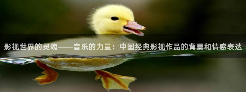 樱花影院国产二区