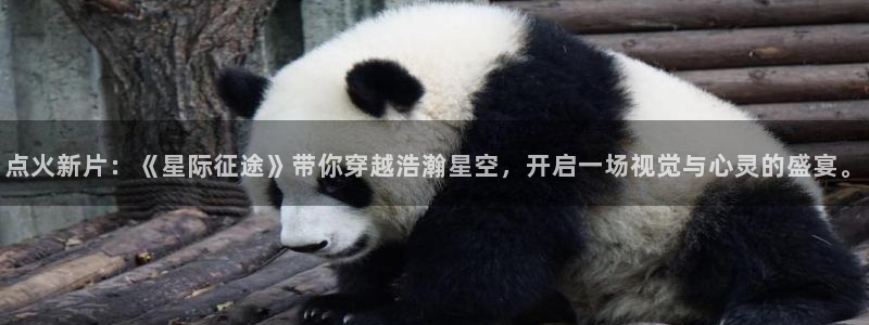 樱花影院在线观看高清电视剧下载