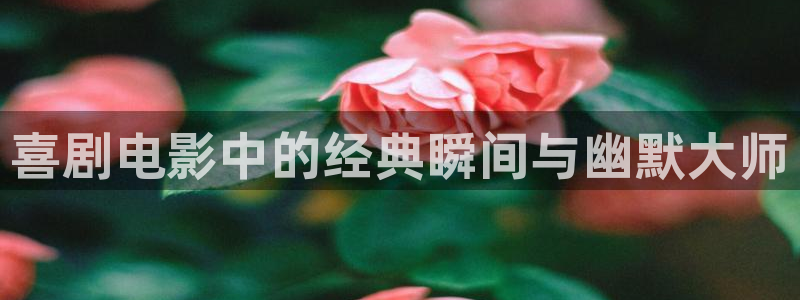 黑色四叶草樱花影视