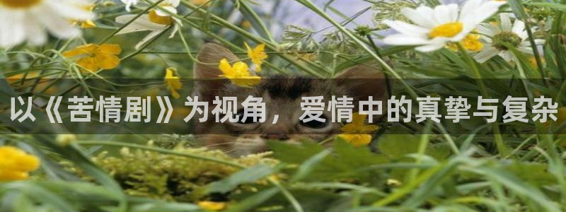 www樱花视频在线观看