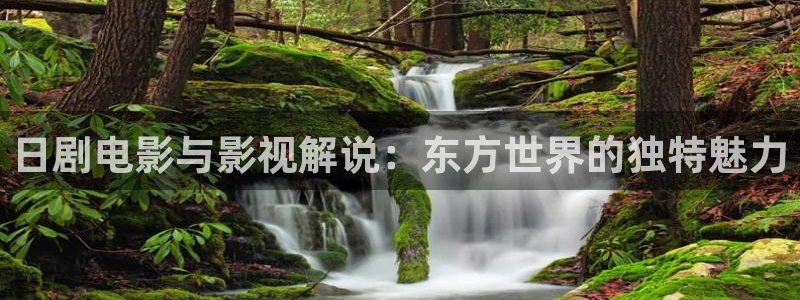 樱花视频在线观