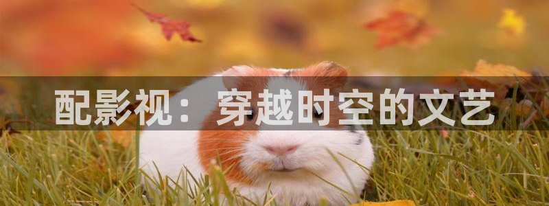 樱花影院免费观看电视剧电影