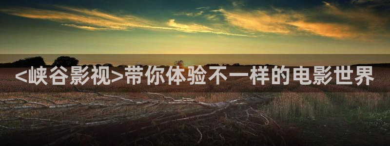 新闻图片